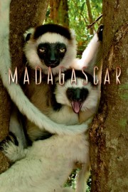 hd-Madagascar