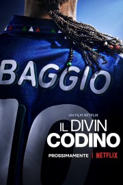 hd-Baggio: The Divine Ponytail