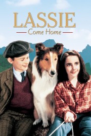 hd-Lassie Come Home