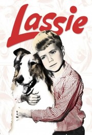 hd-Lassie