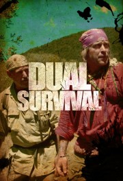 hd-Dual Survival