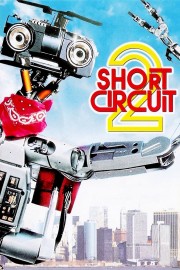 hd-Short Circuit 2