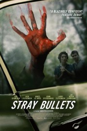 hd-Stray Bullets