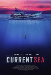 hd-Current Sea