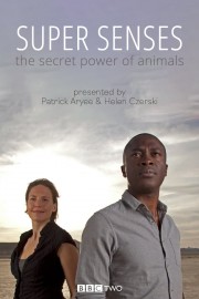 hd-Super Senses: The Secret Power of Animals