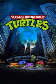 hd-Teenage Mutant Ninja Turtles