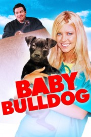 hd-Baby Bulldog