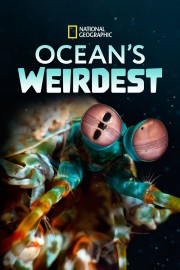 hd-Ocean's Weirdest