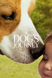 hd-A Dog's Journey