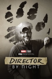 hd-Director by Night