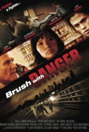 hd-Brush with Danger