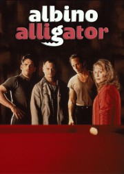 hd-Albino Alligator