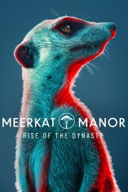 hd-Meerkat Manor: Rise of the Dynasty