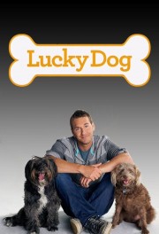 hd-Lucky Dog