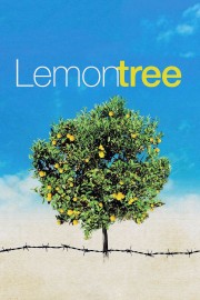 hd-Lemon Tree