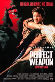 hd-The Perfect Weapon