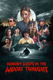 hd-Nobody Sleeps in the Woods Tonight