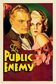 hd-The Public Enemy