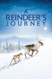 hd-A Reindeer's Journey