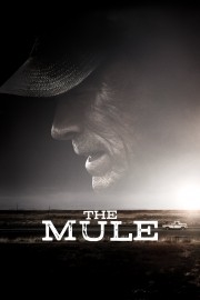 hd-The Mule