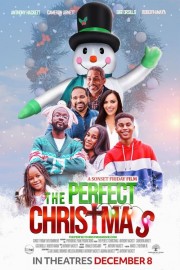 hd-The Perfect Christmas