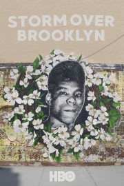 hd-Yusuf Hawkins: Storm Over Brooklyn