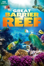 hd-Great Barrier Reef