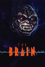 hd-The Brain
