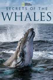hd-Secrets of the Whales