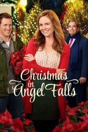 hd-Christmas in Angel Falls