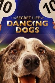 hd-The Secret Life of Dancing Dogs