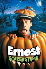 hd-Ernest Scared Stupid
