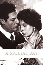 hd-A Special Day