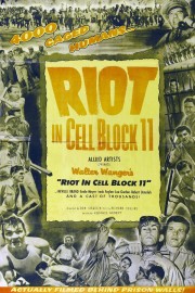 hd-Riot in Cell Block 11