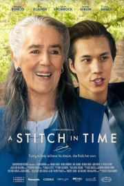 hd-A Stitch in Time