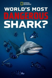 hd-World's Most Dangerous Shark?