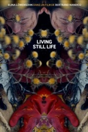 hd-Living Still Life