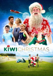 hd-Kiwi Christmas