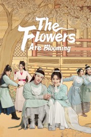 hd-The Flowers Are Blooming
