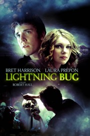 hd-Lightning Bug