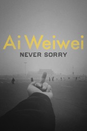 hd-Ai Weiwei: Never Sorry
