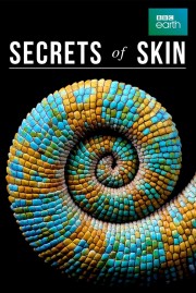 hd-Secrets of Skin