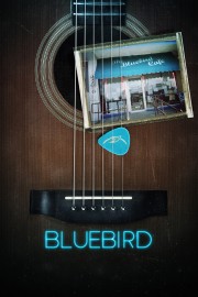 hd-Bluebird