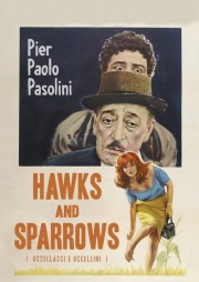 hd-Hawks and Sparrows