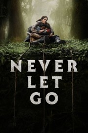 hd-Never Let Go