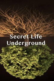 hd-Secret Life Underground