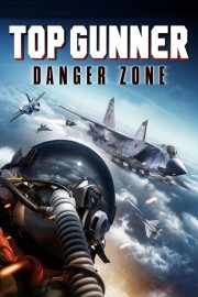 hd-Top Gunner: Danger Zone