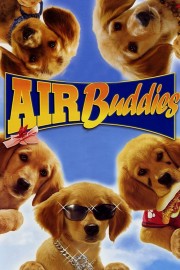 hd-Air Buddies