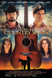 hd-Like a Country Song