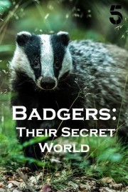hd-Badgers: Their Secret World